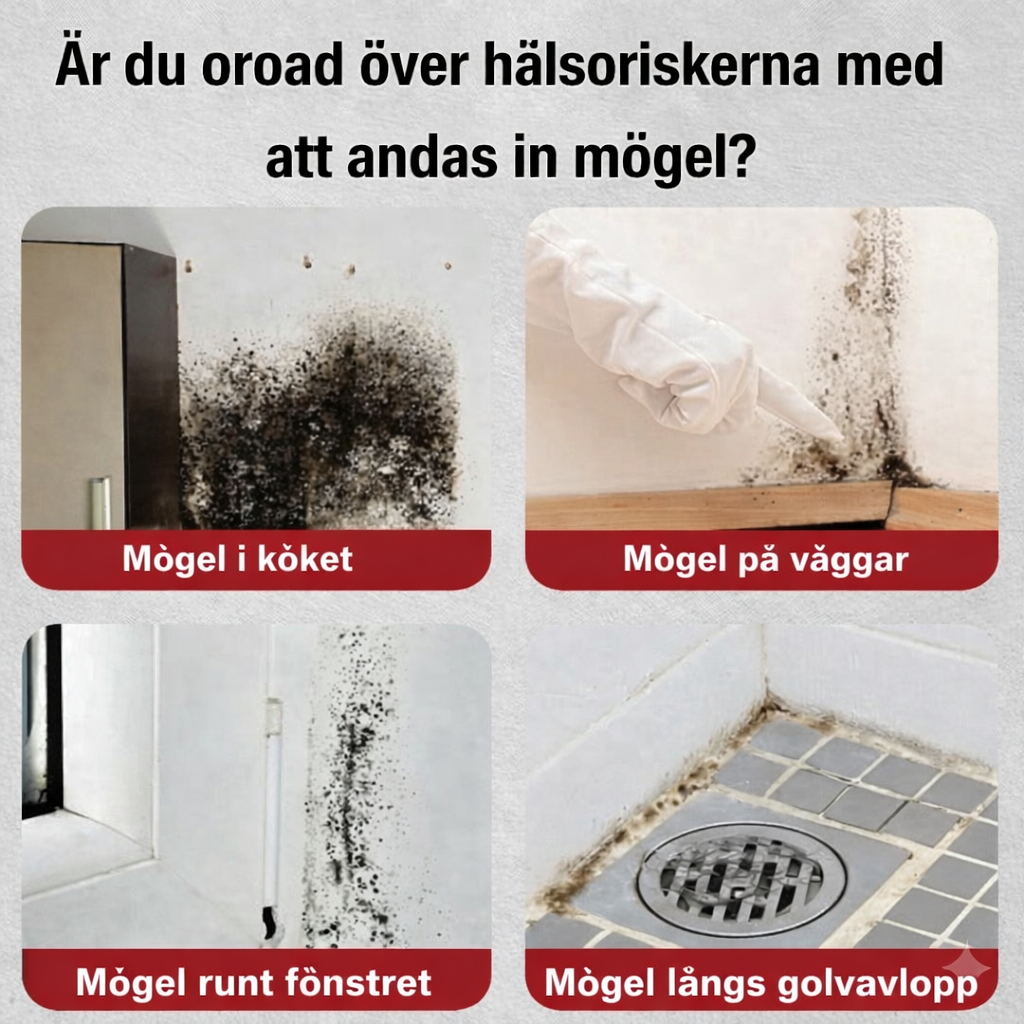 Skumrengöring mot mögel