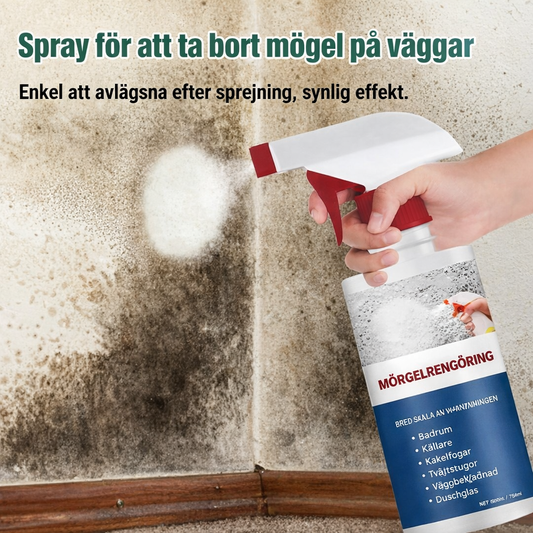 Skumrengöring mot mögel