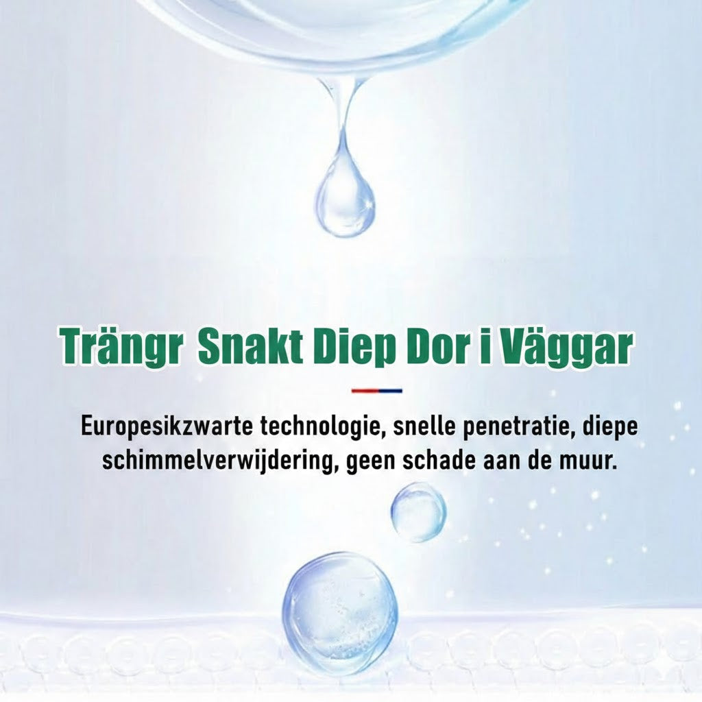 Skumrengöring mot mögel